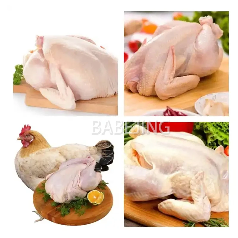 ベイブジン全自動ペット羽毛除去機、鶏、アヒル、ガチョウの羽毛除去機