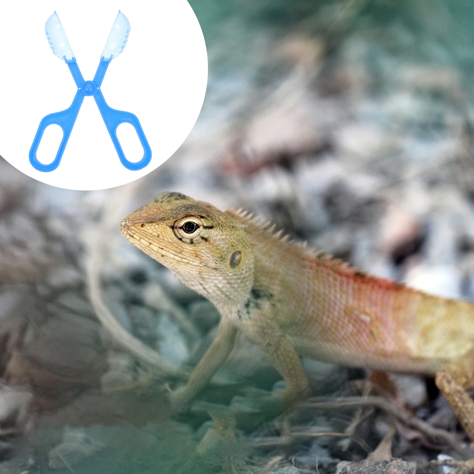 

3Pcs Pet Poop Clips Portable Plastic Poop Pickers Lightweight Reptile Waste Cleaning Tool Perfect for Lizards Frogs Tortoises