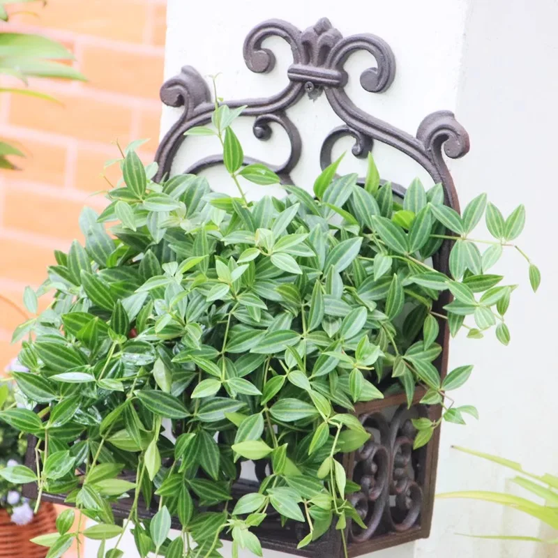 حامل زهور حديد على الطراز العتيق للعصارة والنباتات بوعاء وعاء الأوركيد على شكل فراشة وفناء الشرفة