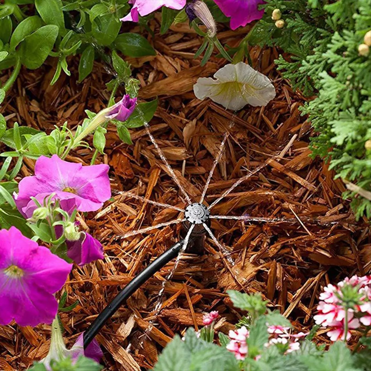 A56K 50Pcs Adjustable 8 Hole Spiked Dripper Gardening Sprinkler Irrigation Staked Emitters Garden Greenhouse Watering Device