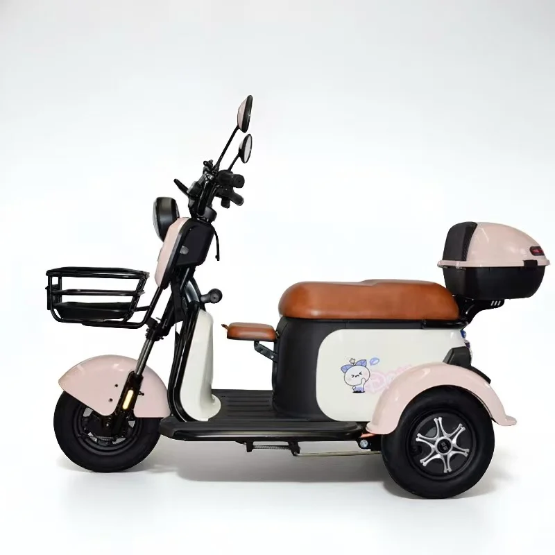 

3 Wheel Electric Motorcycle Tricycle for Adults CE EEC Certification Electric Passenger Tricycle Recreational Electric Mobility
