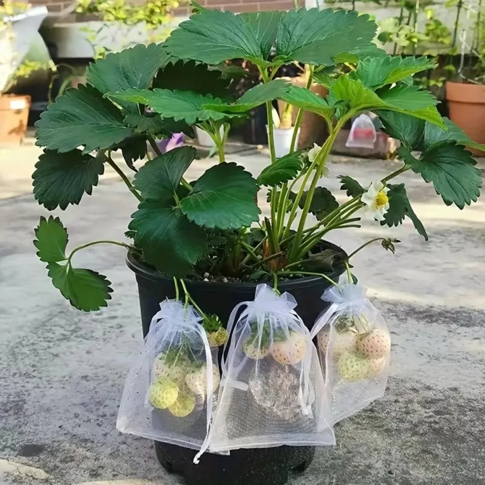 50-300Pcs Fruit Protection Netting Bags Grapes Protection Bags Anti-Bird Garden Netting Bags Plante Vegetable Netting Cover gallery 3