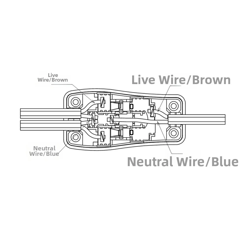 Dual Function Lamp Switch with Two Way Push Button for Independent Control of Two Lighting Outputs in One Unit