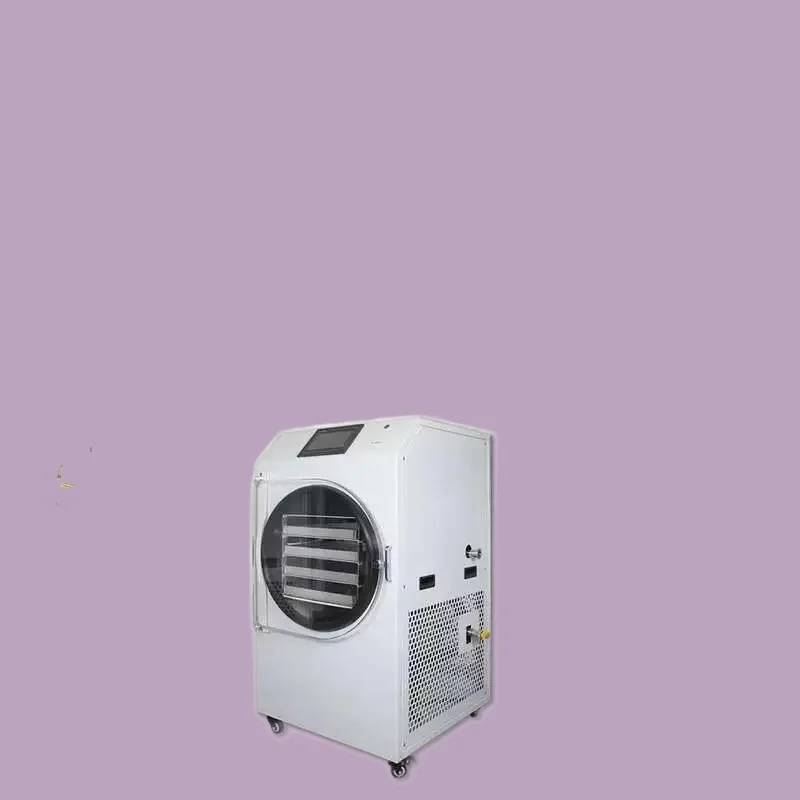 ขายร้อน 6 กก. 8 กก. ผลไม้แห้งผักแห้ง Home Freeze Dryer สําหรับอาหาร