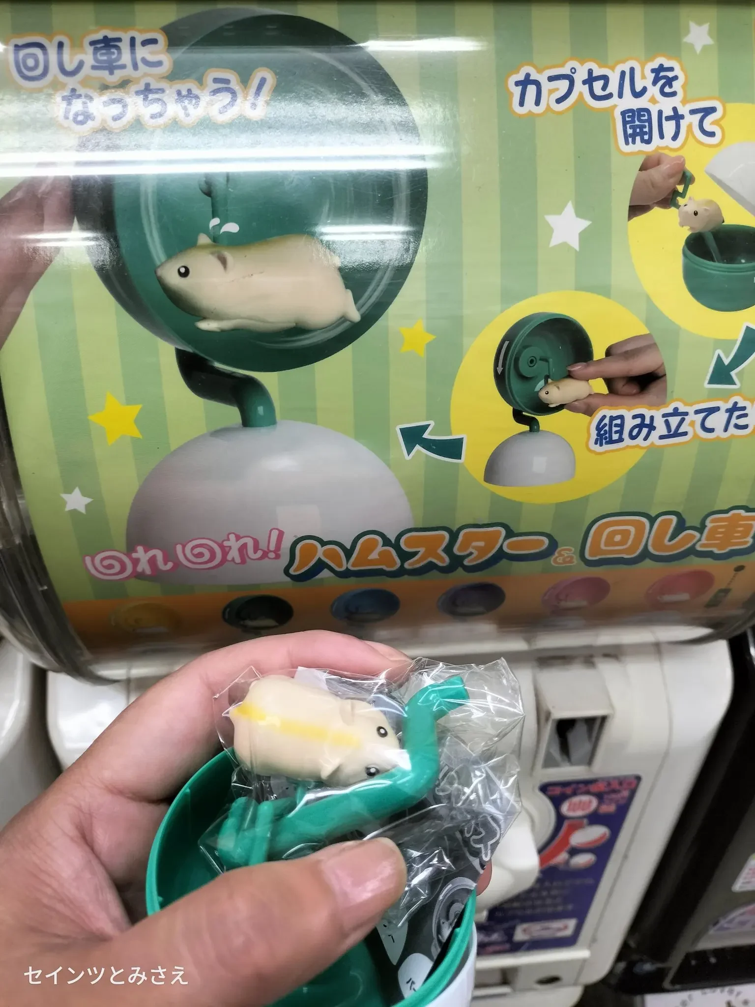 IP4 capsule toys cute kawaii Spin, spin! Hamster & Wheel colorful round stand rodents pets mascot assembly gashapon figures