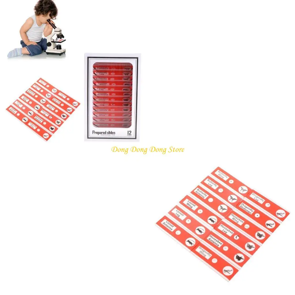 

For Stereo Microscopes 48pcs Kids Plastic Prepared Microscope Slides Of Animals Plants Flowers Sample Specimens