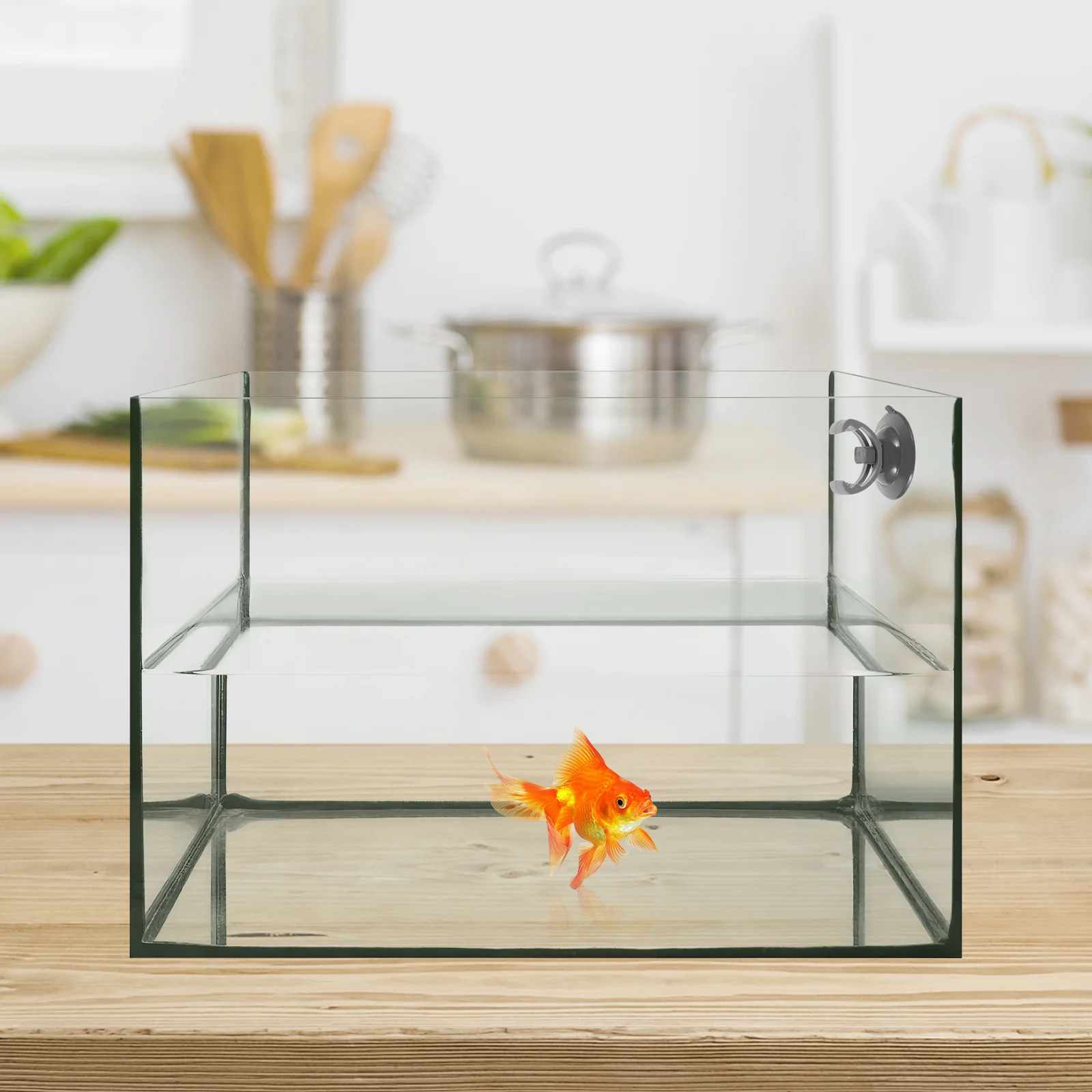 

2Pcs Professional Aquarium Lamp Bracket Easy to Install and Disassemble Stable Platform for Lamps Aquatic Plant Holder