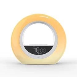 Wake Up Light Alarm Clock with Sunrise Simulation FM Radio Night Light Natural Sounds Sleep Aid for Kids Heavy Sleepers