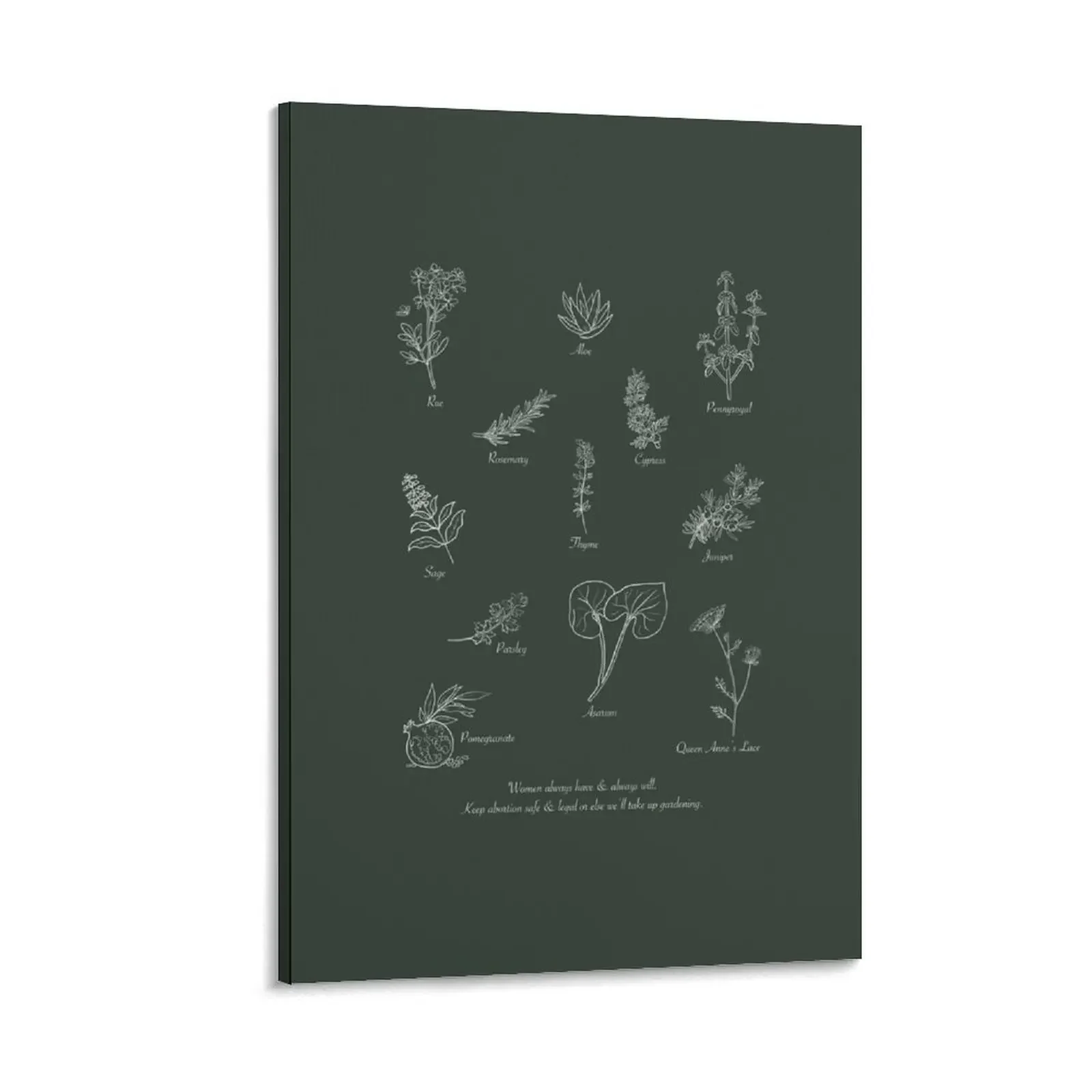 

My Herbs My Choice Canvas Painting ornaments for home aesthetic room decor Decor for room