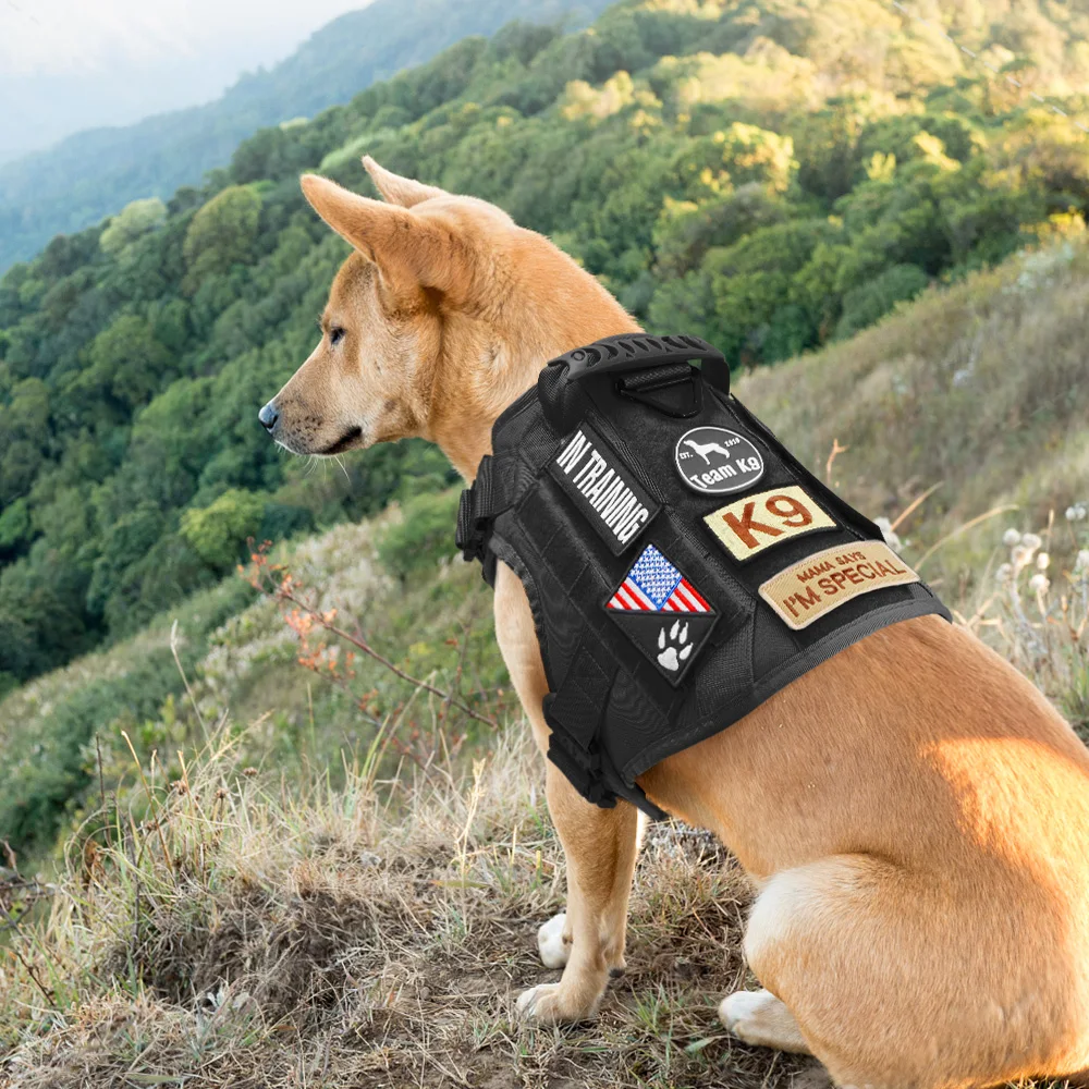 犬のベストハーネスの襟用の戦術パッチ,パーソナライズされたパッチ,ラベルステッカー,k9ラベル,カスタム名,IDサービス,12個
