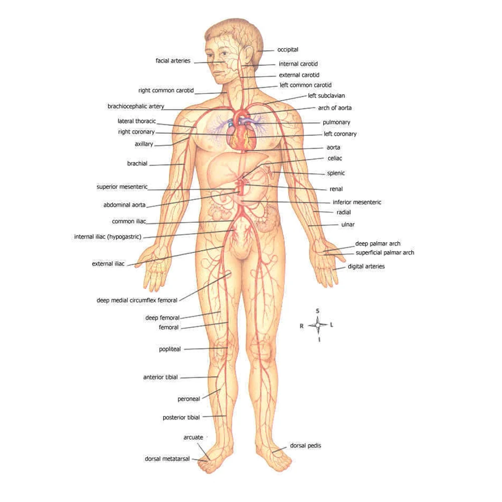 

Аварийный поясной жгут-турникет для оказания первой помощи, инструменты для использования в боевых условиях, походные принадлежности