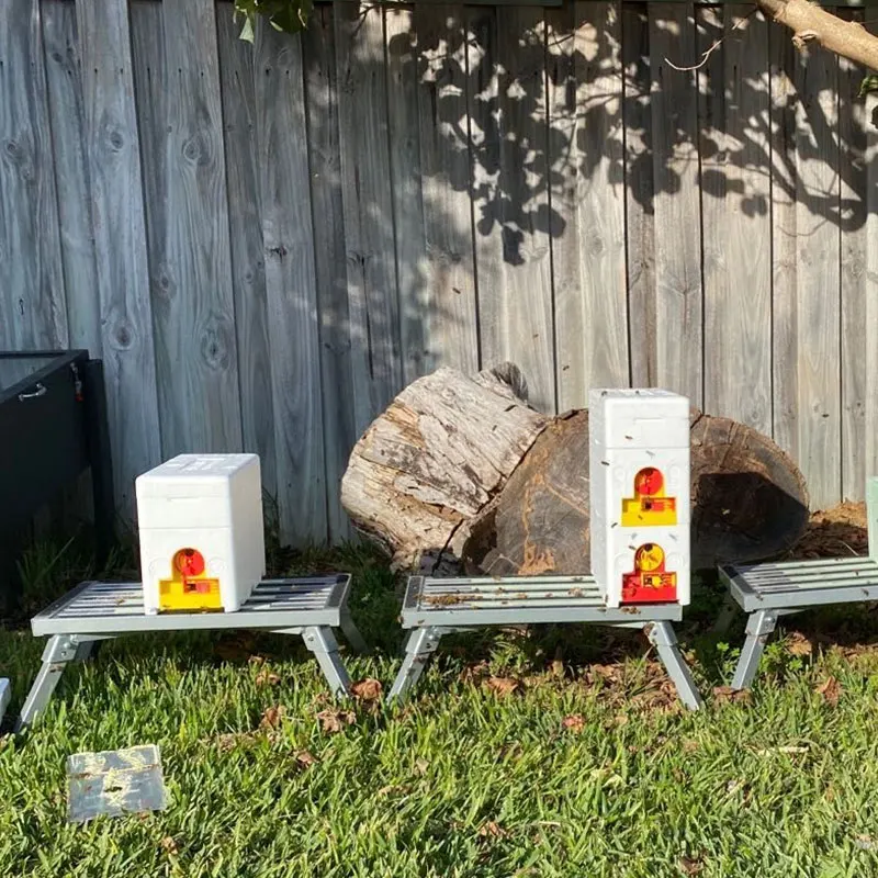 Benefitbee تصميم جديد Mini Hives Kit Queen Bee Mating Box #6