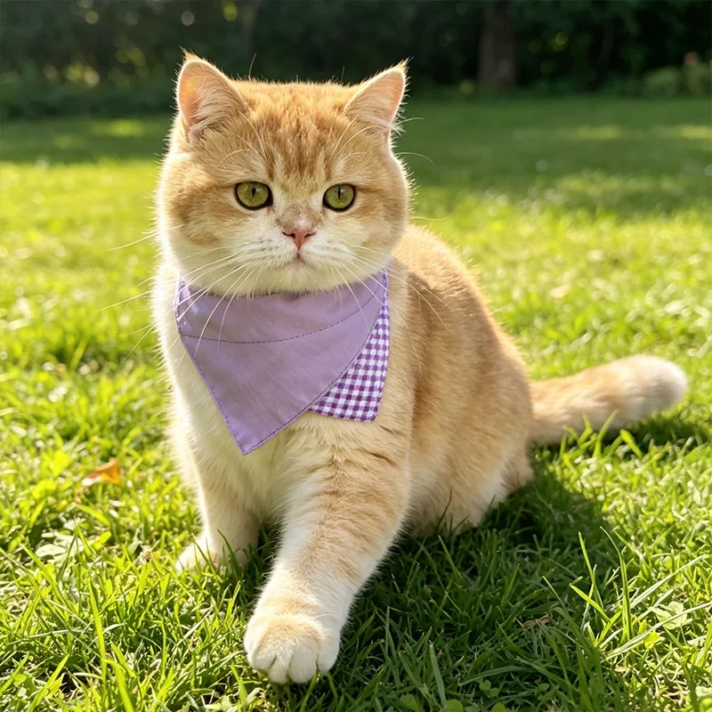 10PCS 2026 Pet DIY Triangle Scarf Cat Bib Korean Hot Style Dog Drool Towel Plain Version Bib Pure Cotton Puppy Bandana Wholesale