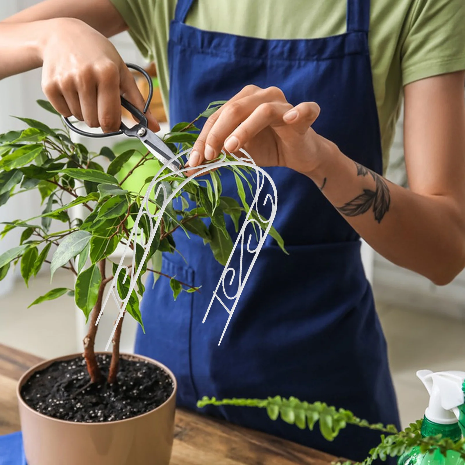 

4Pcs Mini Iron Arch Trellis Vintage European Style Garden Flower Support Frame for Climbing Plants Vines Potted Plant Trellis