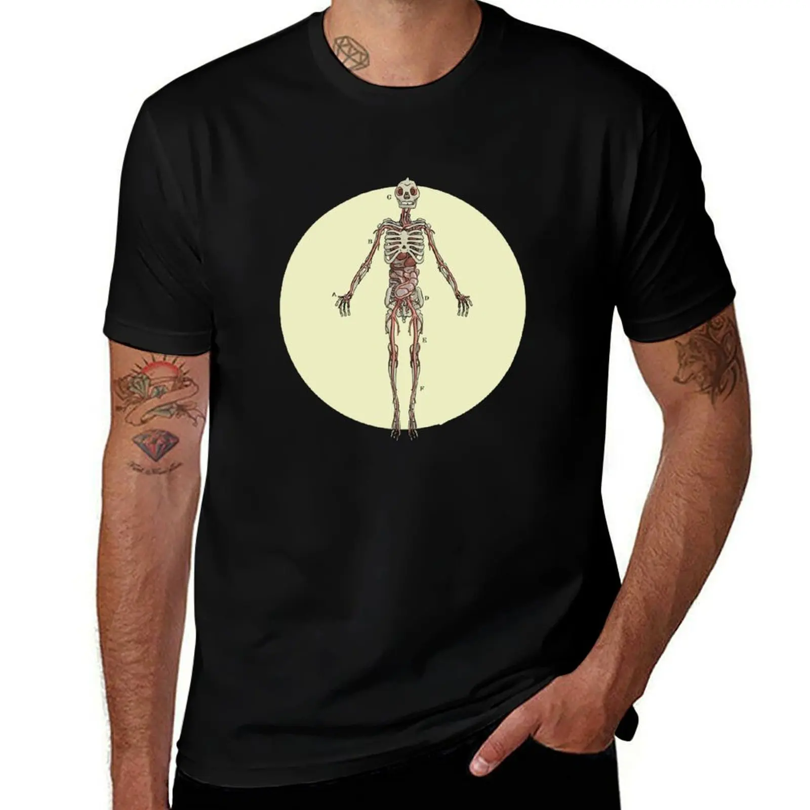 

cotton funny for t Anatomical shirts cotton t figure T-Shirt man man shirt Batrachian