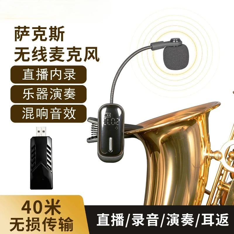 New DSP live amplification instrument microphone earphone monitor backing track saxophone guitar violin folk music