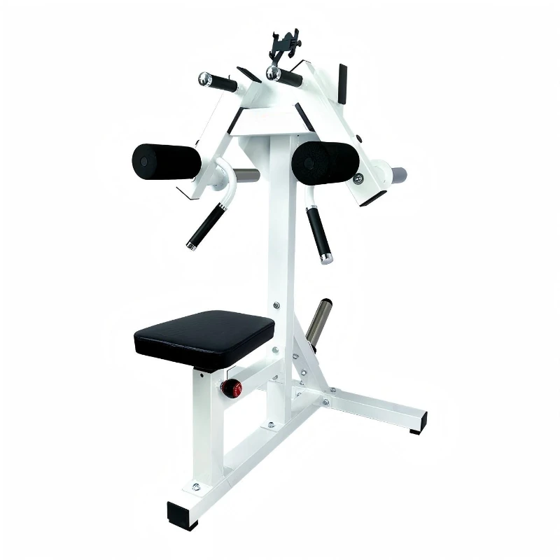 Commercial Iso-Lateral Shoulder Trainer, Seated Lateral Raise Deltoid Fly Machine for Home & Gym Full Shoulder Muscle Training