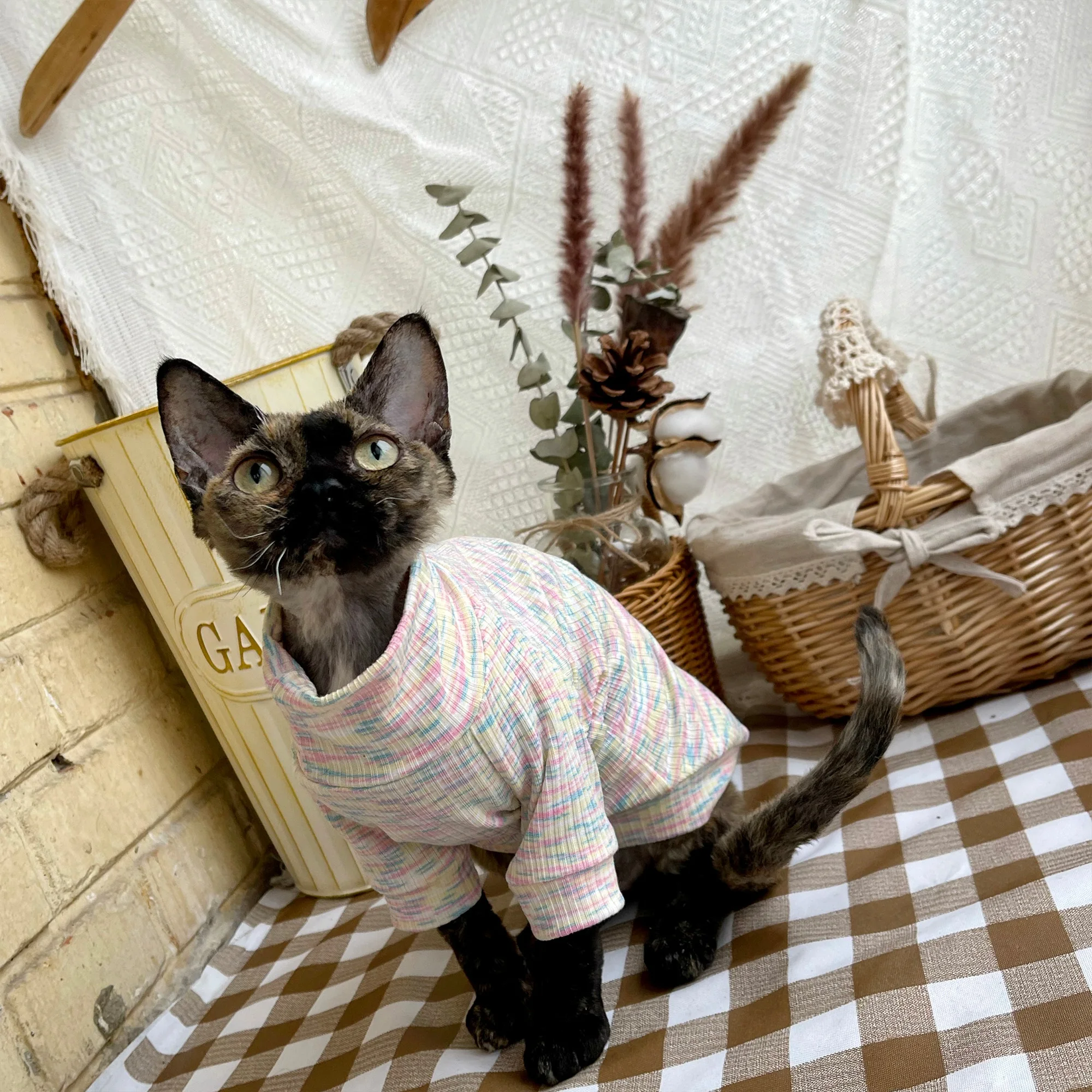 Elegant Cotton Velvet Sweater for Sphynx Cat Winter Warm Coat for Kittens Sweatshirt for Devon Rex Loungewear for Pet Cat