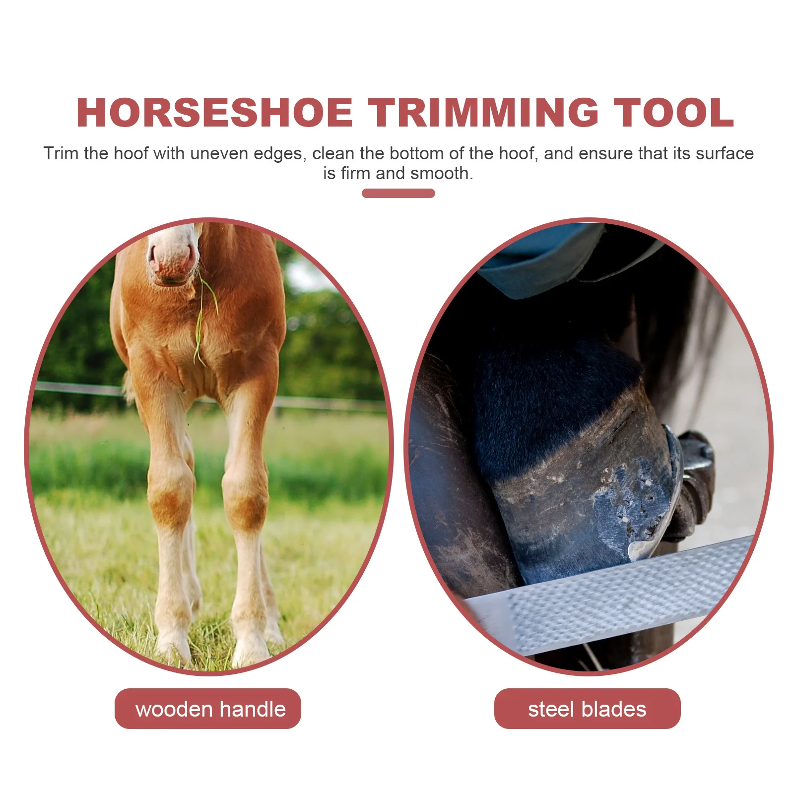 

Hoof Trimmer Professional Stainless Steel and Wood Wear-Resistant Daily Use Tool Ergonomic Design Compact Reusable