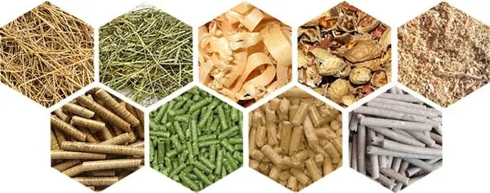 55KW 1.2T Capacity  Biomass Fuel Energy Pellet Making Machine Rice Husk Wood Pellet Machine