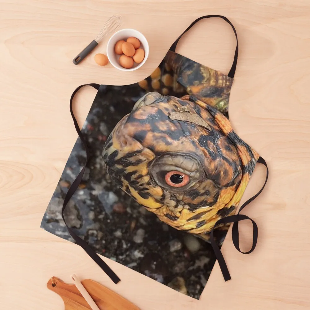 

Eastern Box Turtle Apron cleanings Kitchen Things And For Home Kitchen Supplies Idea Goods Apron
