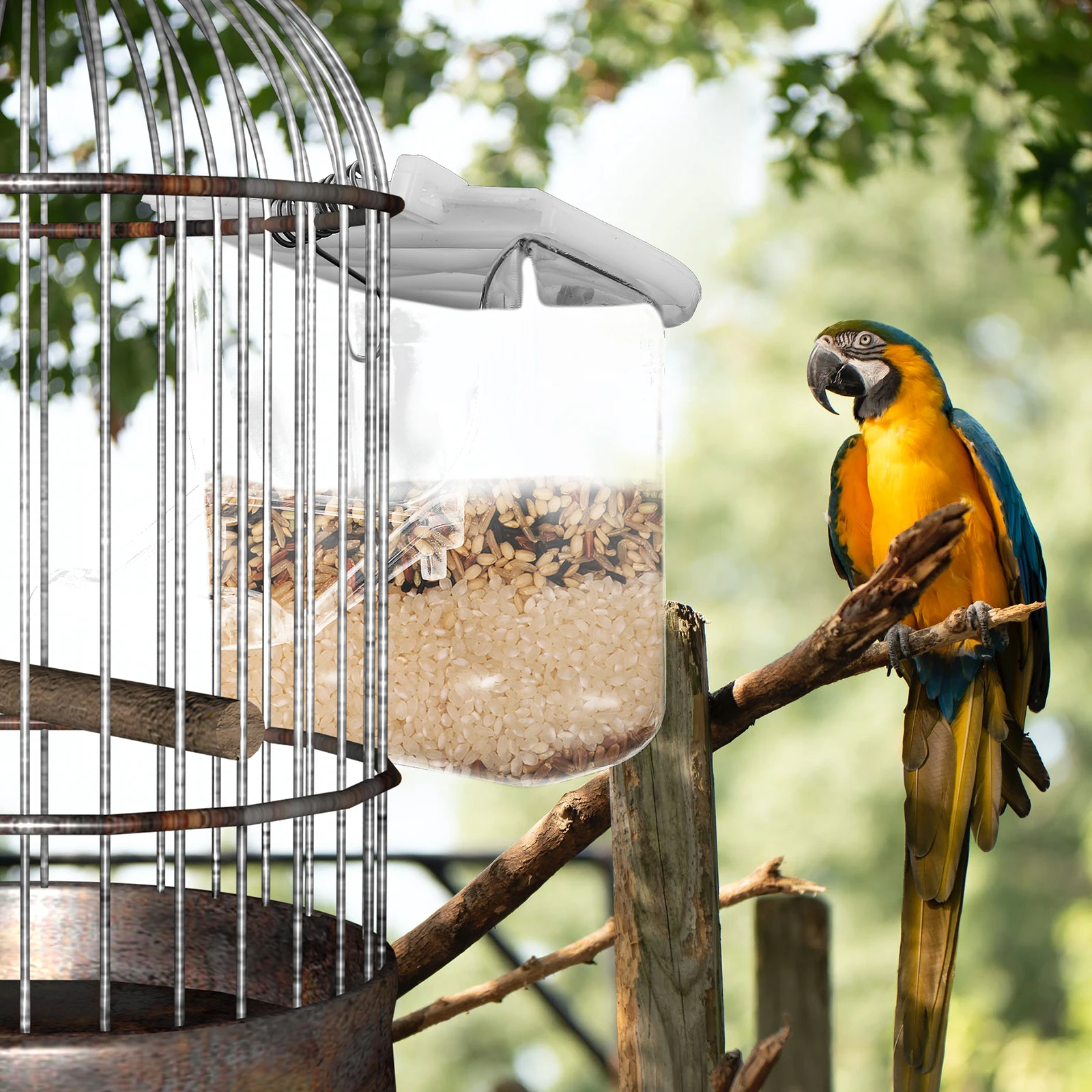 

3pcs Transparent Parrot Feeder Hanging Bird Cage Food Dispenser Durable Lightweight Feeding Box For Budgerigar Canary Cockatiel