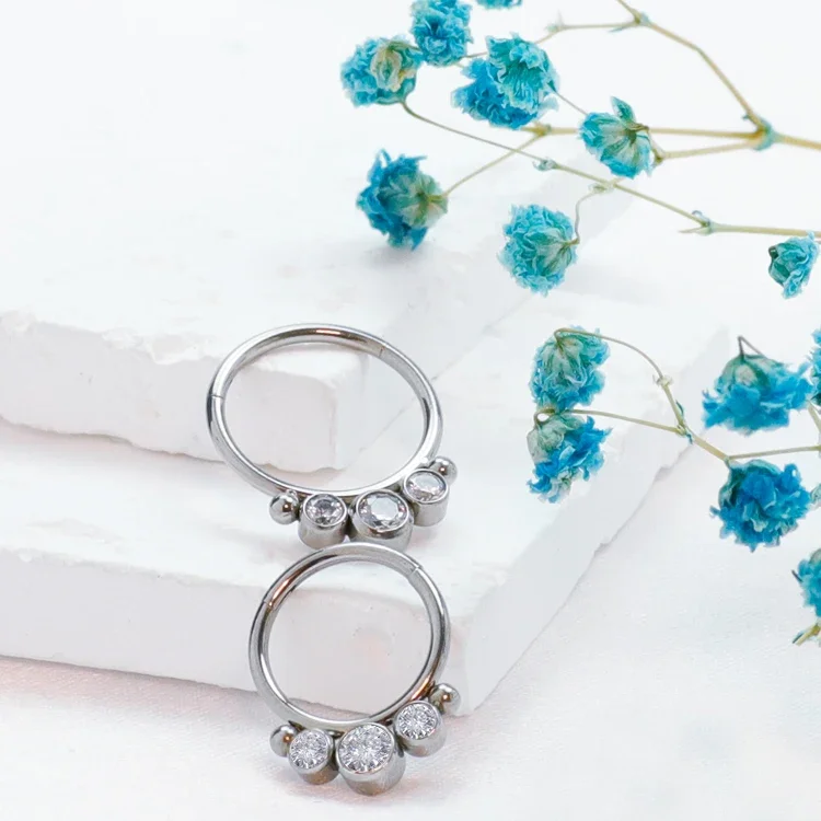 F136 Titanium Septum Zircon Clicker Nose Ring Hoop Earrings Tragus Industrial Piercing Hinged Segment Cartilage Women Jewelry