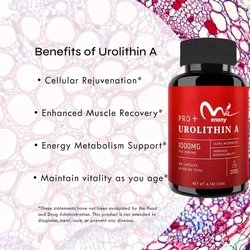Urolithin A Capsules -1000 mg, 60 capsules for advanced cellular health and vitality, healthy aging, 60000 mg ultrafine powder