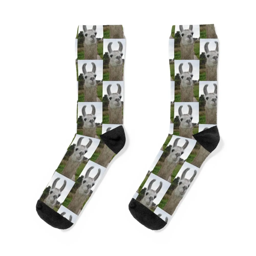 

Llama Socks happy funny gift floral heated Boy Child Socks Women's