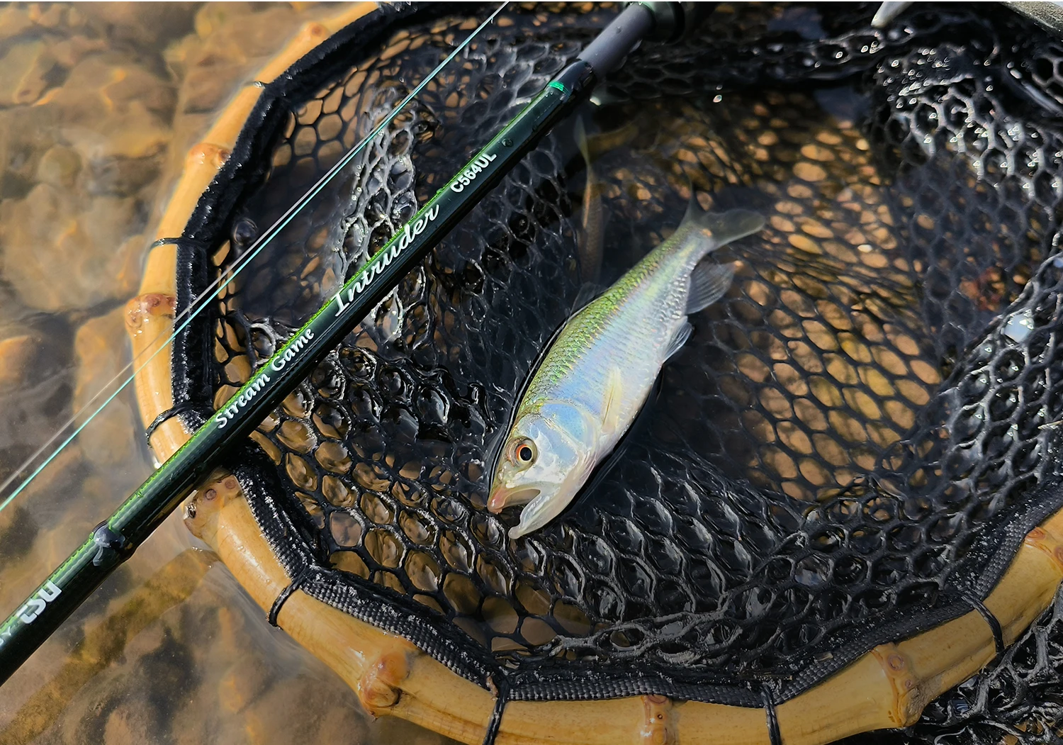 TSURINOYA INTRUDER 1,6/1,68/1,8/1,98m 5-teilige tragbare Spinn- und Casting-Angelrute für Forelle, Barsch, Bergbäche, packbare Rute – Detail 25