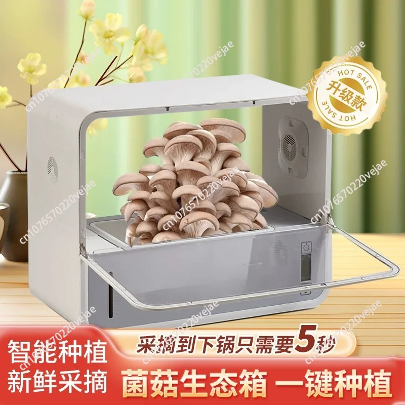 Mushroom Eco-Box English Edition Smart Mushroom Grower Shiitake Cultivation Machine Automatic Humidification Growing Cabinet