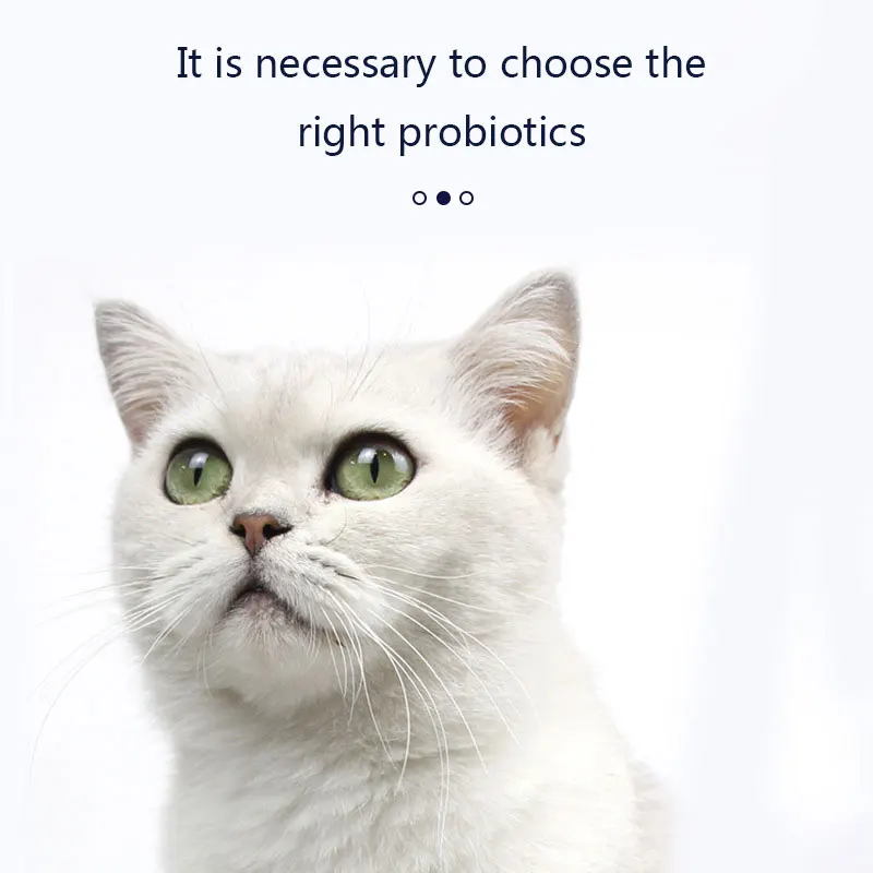 Cat Probiotic Tablets 180 Capsules Pet Conditioning Stomach Diarrhea Vomiting Bad Breath Nutrition Supplements