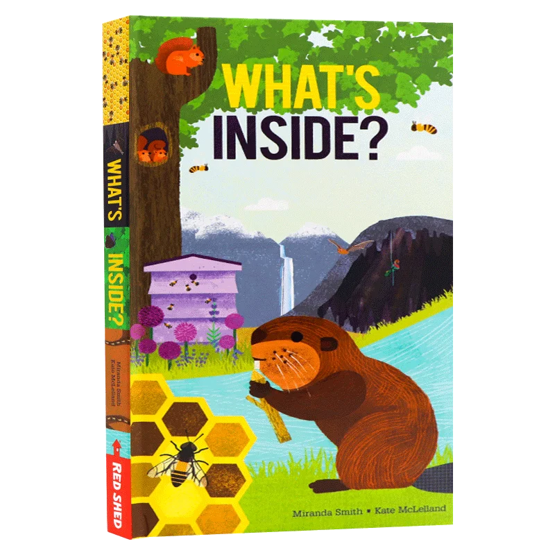 

What's Inside, Children's books aged 3 4 5 6, English picture book, 9781405288637