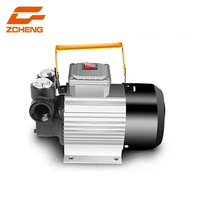 Electric oil fuel bio diesel gas electric transfer pump 110V/220V 60L