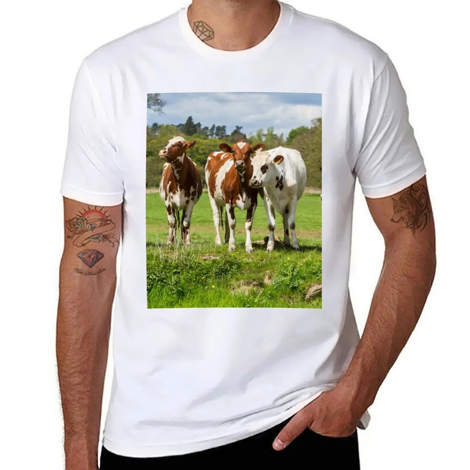 

Ayrshire Cows T-Shirt man tshirt t shirts for man graphic tees T-Shirt