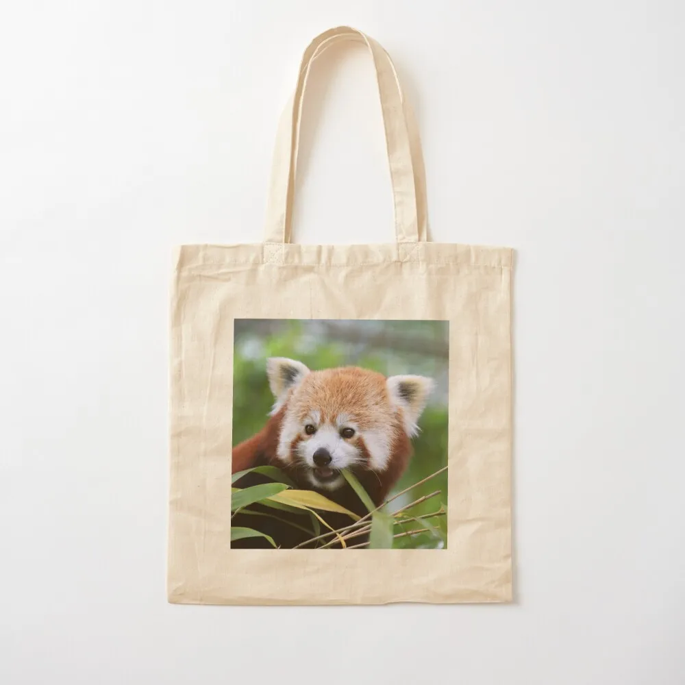 Young Red Panda Tote Bag Gift bag foldable reusable bag custom canvas Big women