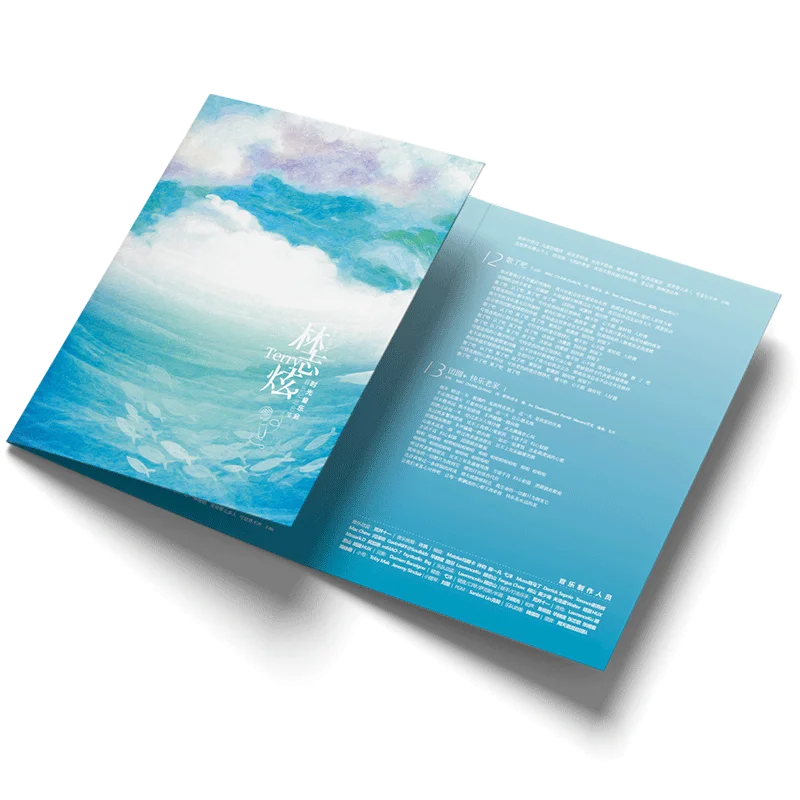 Terry Lin Music Collection CD Keychain Poster