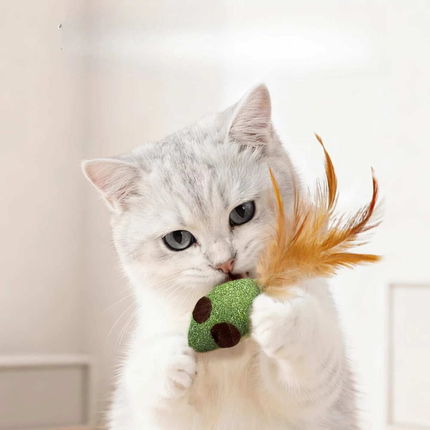 Set Mainan Tongkat Penggoda In - Pet Supplies Young ulasan dan harga