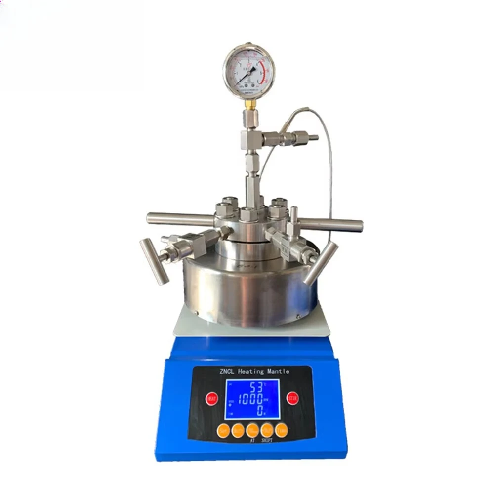 HAIJU LAB Lab High Pressure Stainless Steel Hydrothermal Synthesis Stirring Micro Autoclave Reactor