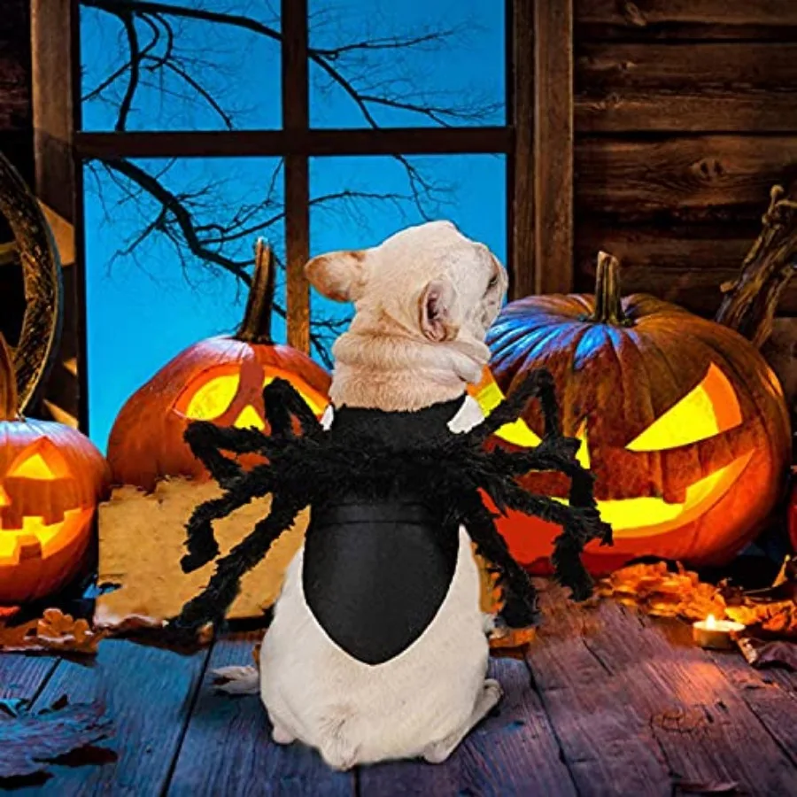 Halloween Spider Pet Costume 6