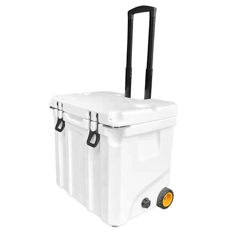 Hot Selling Eco-Friendly Plastic Insulated Ice Cooler Large Fishing Food Hard Cooler Box