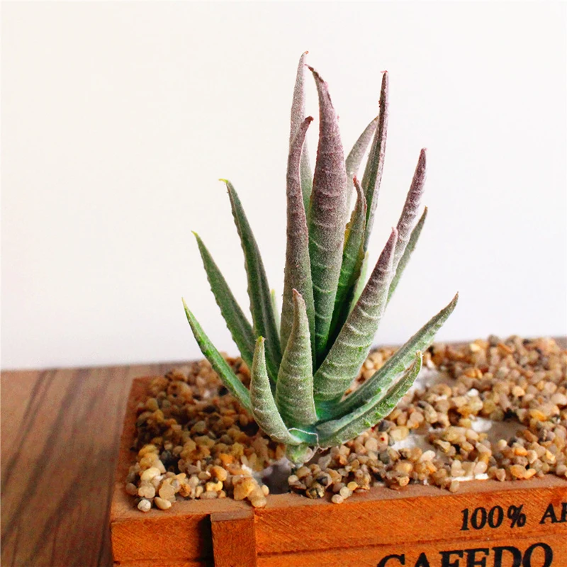 Artificial Plant PVC Hard Material DIY Fake Aloe Home Room Decoration PVC Optional Types Decor Artificial Plants Free Ship
