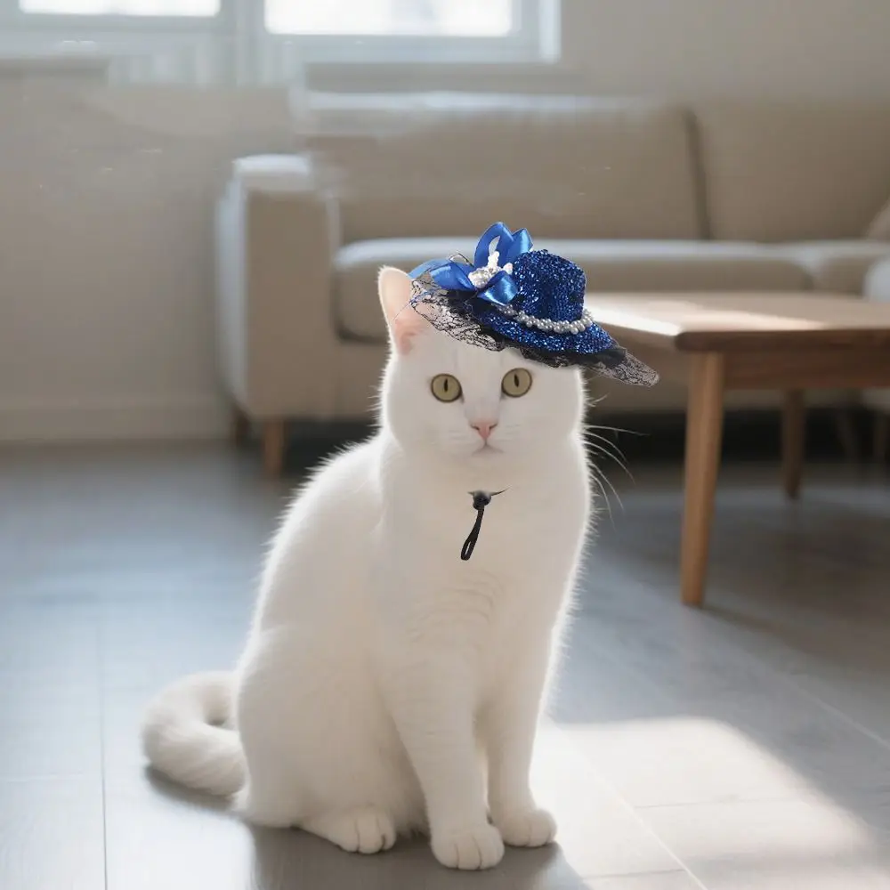 

Pet Accessories Adjustable Pet Halloween Hat British Style Sequin Cat Cosplay Hat Elastic Band Cat Lace Hat Pet Party