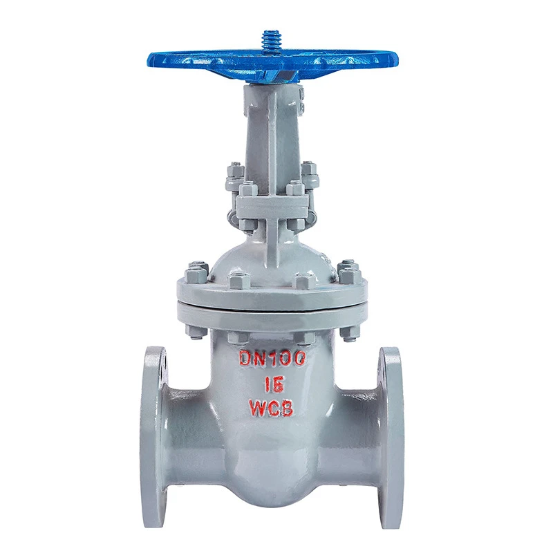 

New Product Research Manual Flange Gate Valve Wedged Stainless Steel/Forged Steel Gate Valve