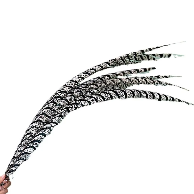 10Pcs Pheasant Tail Feathers 60-90cm Natural Long DIY Wedding Dance Decoration Carnival Costume Party Mask Decoration