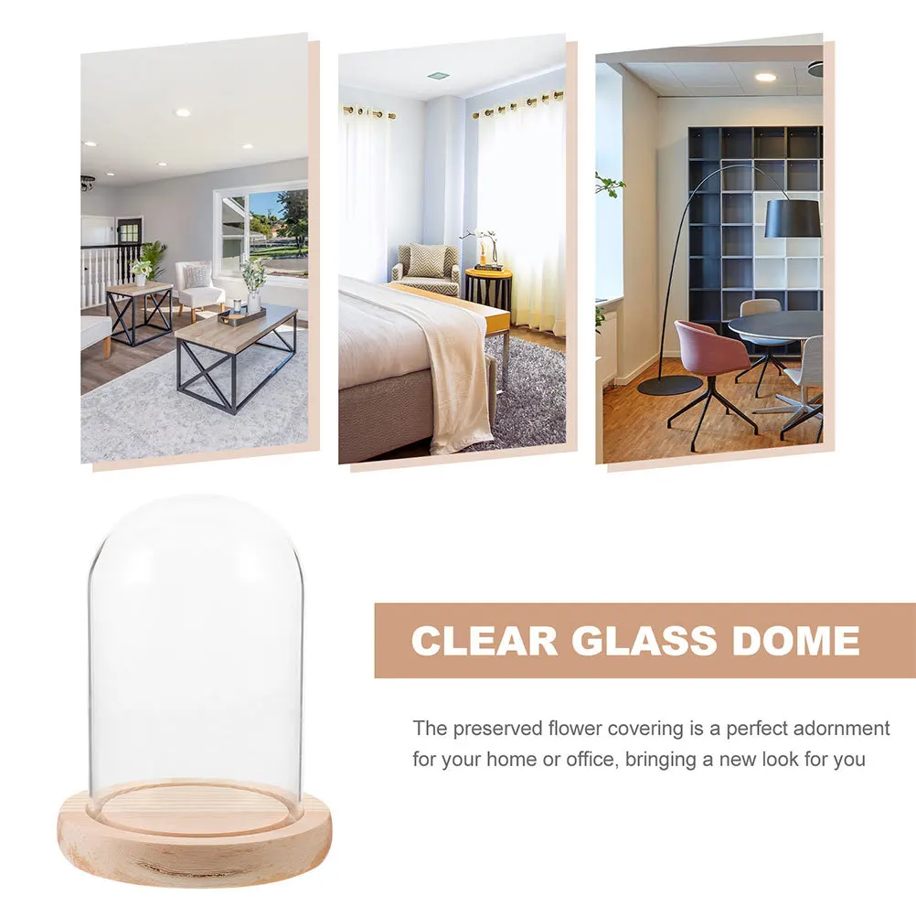 

Glass Display Case Wooden Base Clear Dome Cloche For Desktop Decor Flower Craft Mini Collectibles Display Glass Dome With