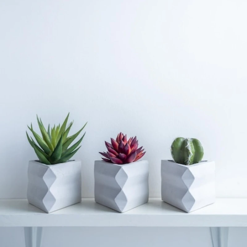 مجموعة بونساي عصارية صناعية صديقة للبيئة - نباتات صبار بلاستيكية صغيرة واقعية للمكتب المنزلي وديكور طاولة الزفاف #1