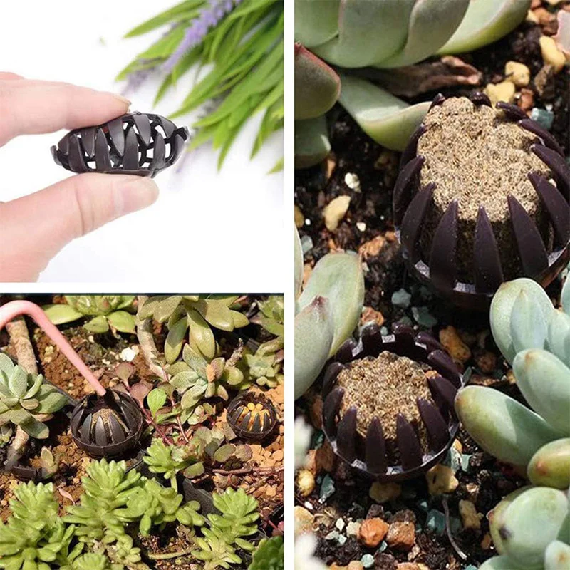 50PCS Bonsai Fertiliser Baskets With Spikes Cover Fertilizer Box For Bonsai Orchid Flower Small Plant