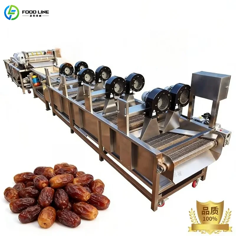 Customized Commercial Fruit and Vegetable Drying Conveyor Belt Stainless Steel Mobile Conveyor Drying Equipment