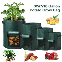 GardenTool Potato Grow Bag PE Vegetable Grow Bags with Handle Thickened Growing Bag Vegetable Onion Plant Bag Outdoor Garden Pot